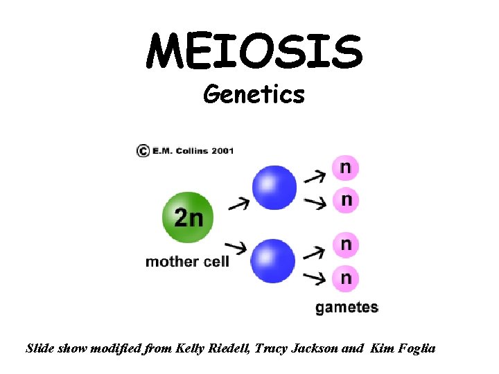 MEIOSIS Genetics Slide show modified from Kelly Riedell, Tracy Jackson and Kim Foglia 