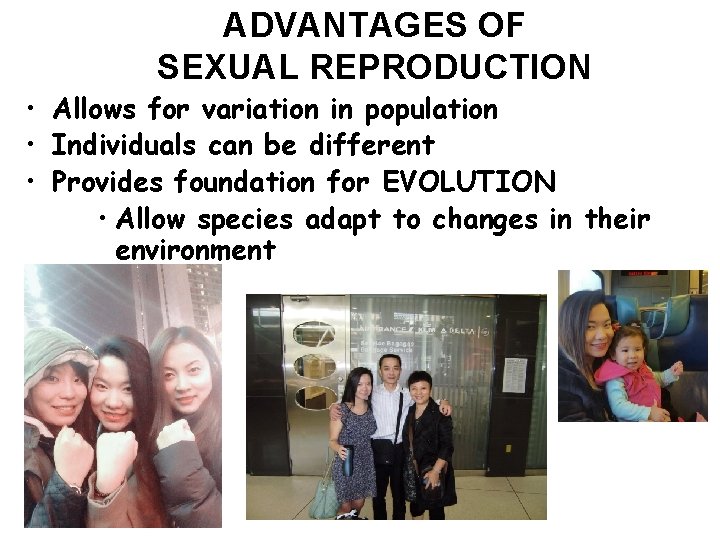 ADVANTAGES OF SEXUAL REPRODUCTION • Allows for variation in population • Individuals can be