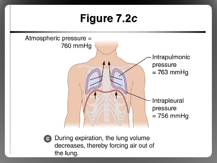 Figure 7. 2 c 