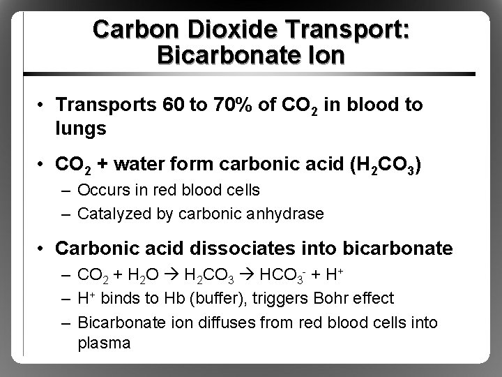 Carbon Dioxide Transport: Bicarbonate Ion • Transports 60 to 70% of CO 2 in