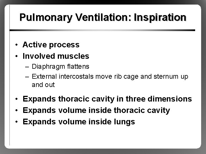 Pulmonary Ventilation: Inspiration • Active process • Involved muscles – Diaphragm flattens – External
