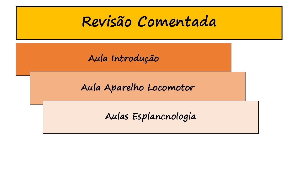 Revisão Comentada Aula Introdução Aula Aparelho Locomotor Aulas Esplancnologia 