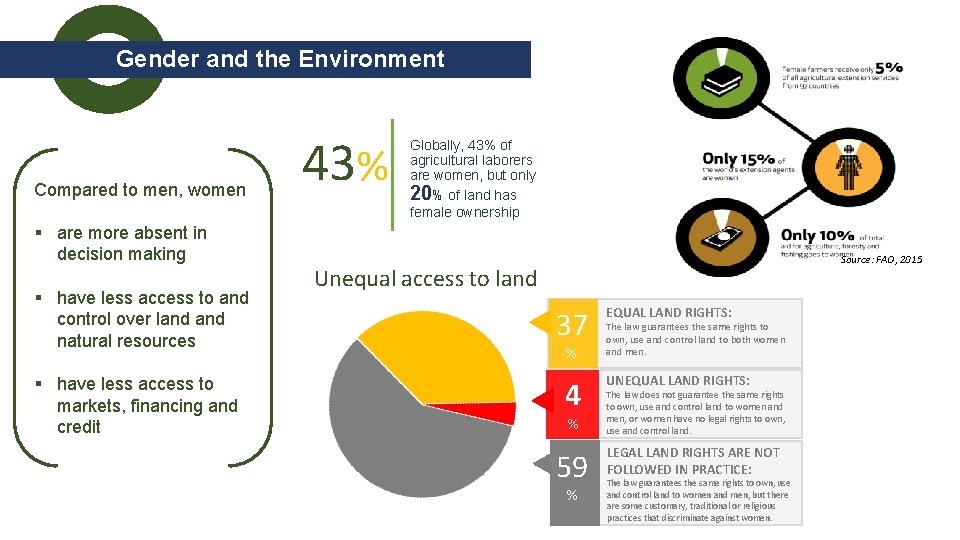 Gender and the Environment Compared to men, women § are more absent in decision