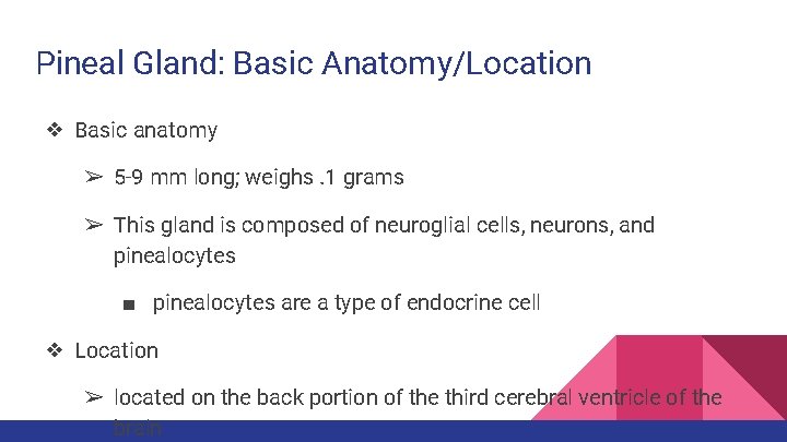 Pineal Gland: Basic Anatomy/Location ❖ Basic anatomy ➢ 5 -9 mm long; weighs. 1