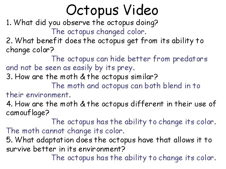 Octopus Video 1. What did you observe the octopus doing? The octopus changed color.