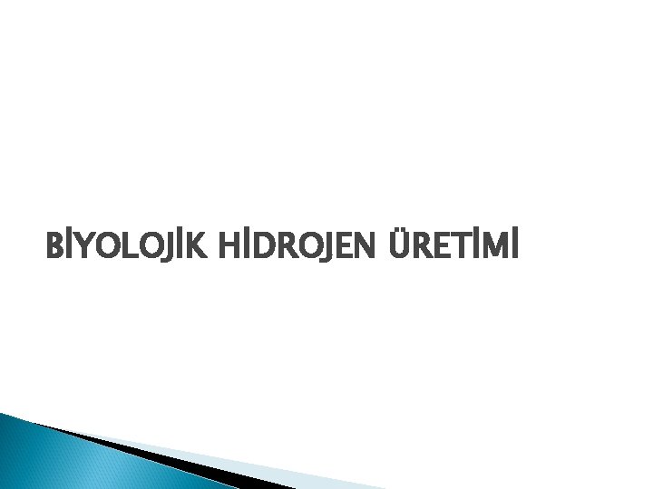 BİYOLOJİK HİDROJEN ÜRETİMİ 