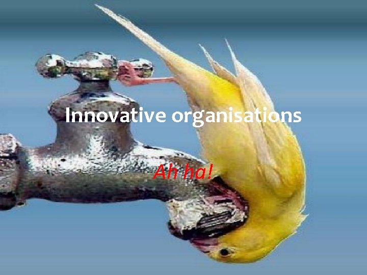 Innovative organisations Ah ha! 