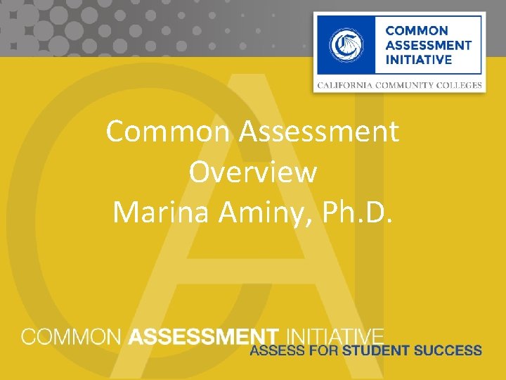 Common Assessment Overview Marina Aminy, Ph. D. 