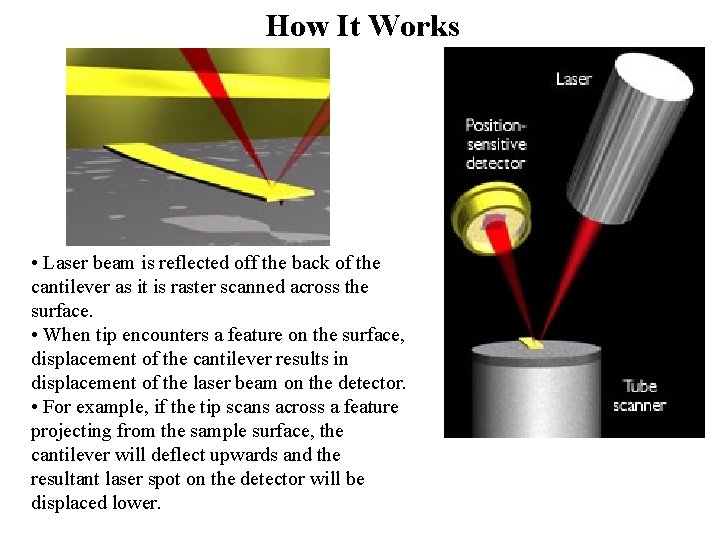 How It Works • Laser beam is reflected off the back of the cantilever