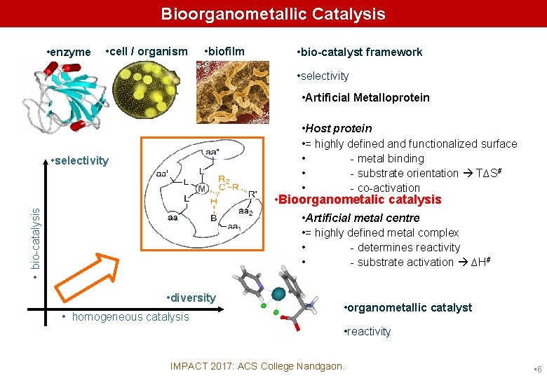 Bioorganometallic Catalysis • enzyme • cell / organism • biofilm • bio-catalyst framework •