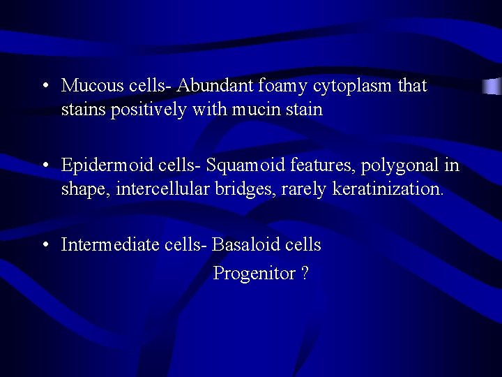  • Mucous cells- Abundant foamy cytoplasm that stains positively with mucin stain •