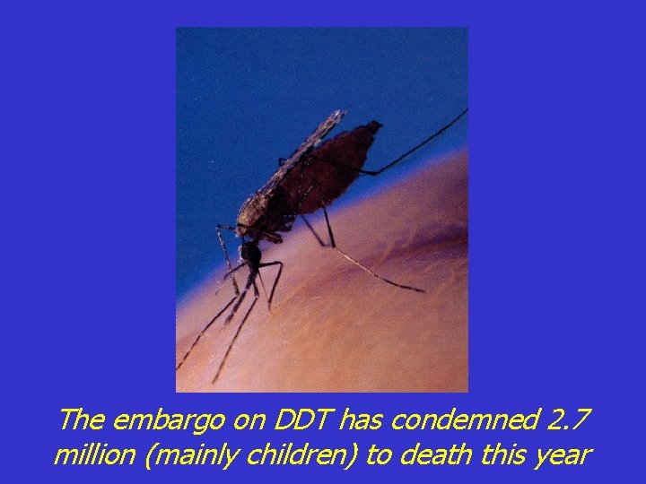 The embargo on DDT has condemned 2. 7 million (mainly children) to death this