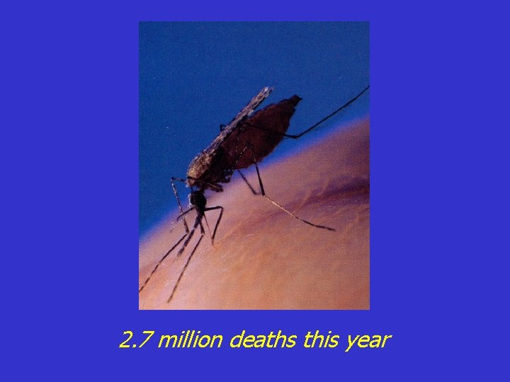 2. 7 million deaths this year 