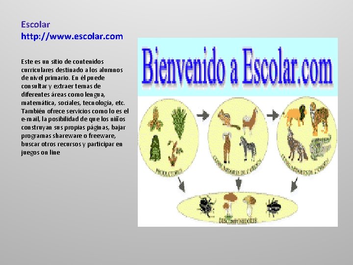 Escolar http: //www. escolar. com Este es un sitio de contenidos curriculares destinado a