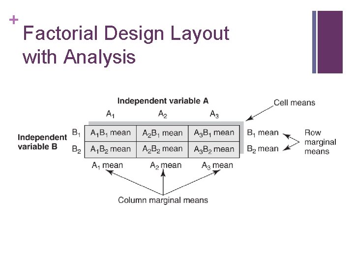 + Factorial Design Layout with Analysis 