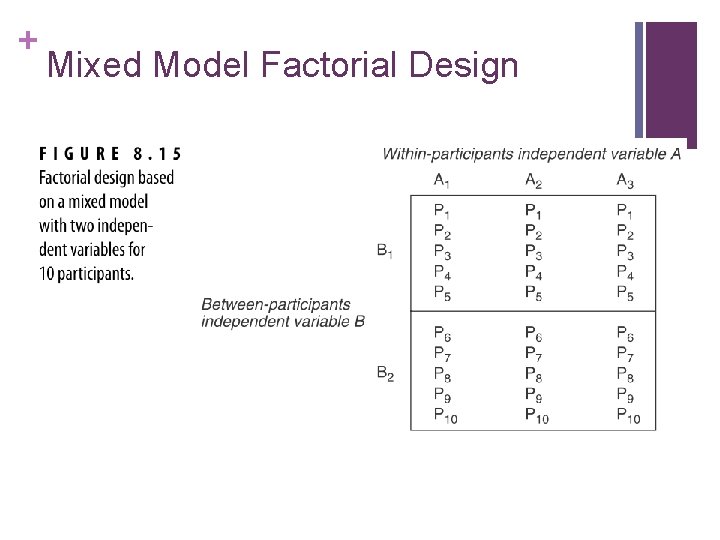 + Mixed Model Factorial Design 