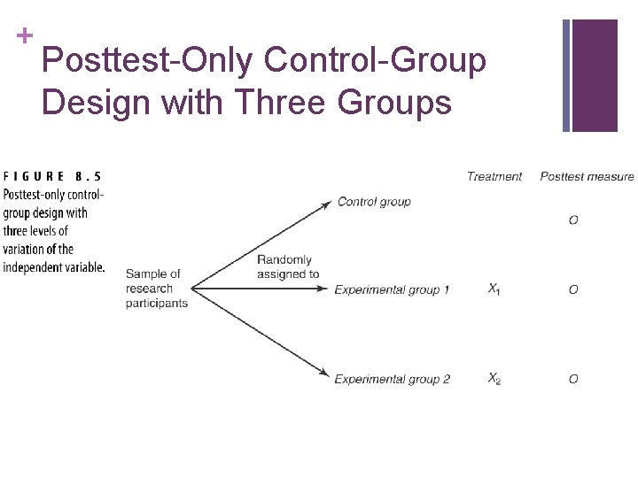 + Posttest-Only Control-Group Design with Three Groups 