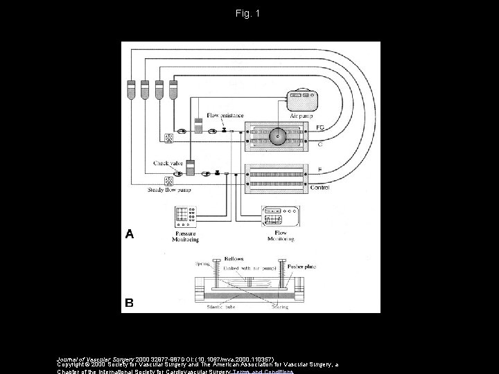 Fig. 1 Journal of Vascular Surgery 2000 32977 -987 DOI: (10. 1067/mva. 2000. 110357)