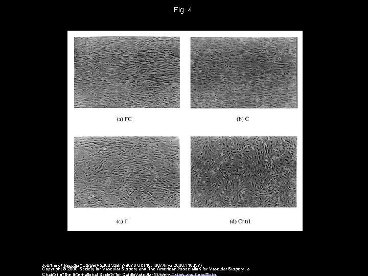 Fig. 4 Journal of Vascular Surgery 2000 32977 -987 DOI: (10. 1067/mva. 2000. 110357)