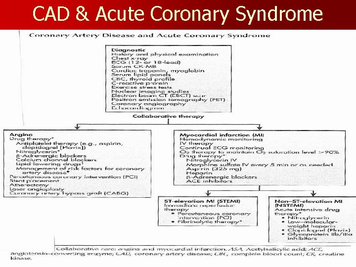 CAD & Acute Coronary Syndrome 