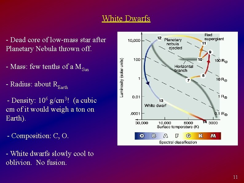 White Dwarfs - Dead core of low-mass star after Planetary Nebula thrown off. -