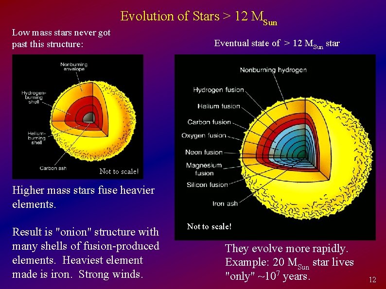 Low mass stars never got past this structure: Evolution of Stars > 12 MSun