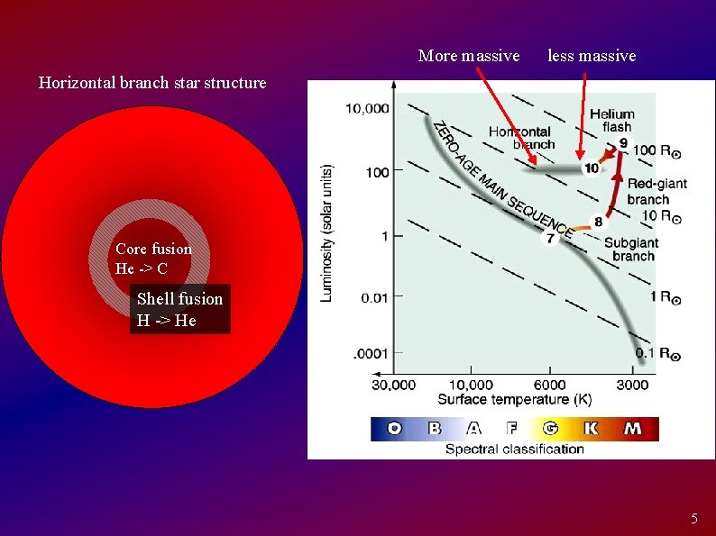 More massive less massive Horizontal branch star structure Core fusion He -> C Shell