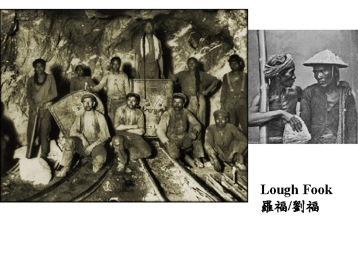 Lough Fook 羅福/劉福 