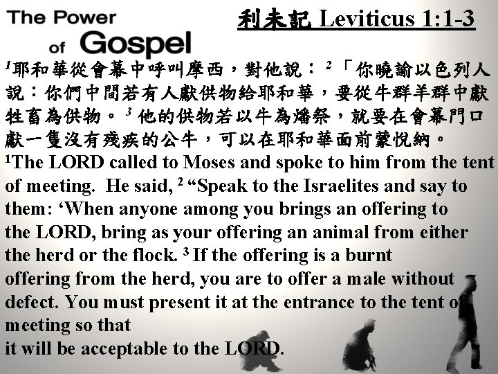 利未記 Leviticus 1: 1 -3 1耶和華從會幕中呼叫摩西，對他說： 2 「你曉諭以色列人 說：你們中間若有人獻供物給耶和華，要從牛群羊群中獻 牲畜為供物。 3 他的供物若以牛為燔祭，就要在會幕門口 獻一隻沒有殘疾的公牛，可以在耶和華面前蒙悅納。 1