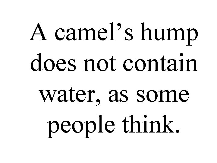 A camel’s hump does not contain water, as some people think. 