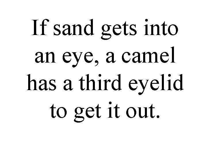 If sand gets into an eye, a camel has a third eyelid to get