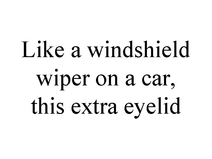 Like a windshield wiper on a car, this extra eyelid 