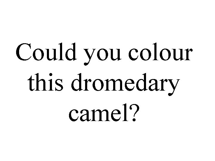 Could you colour this dromedary camel? 