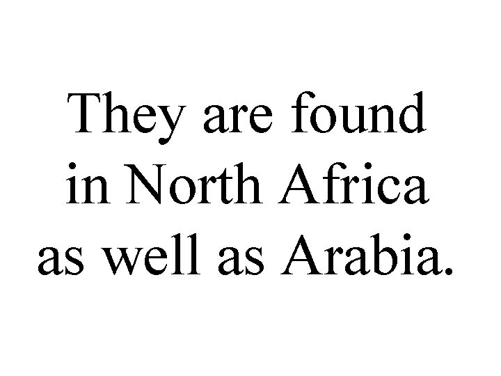 They are found in North Africa as well as Arabia. 