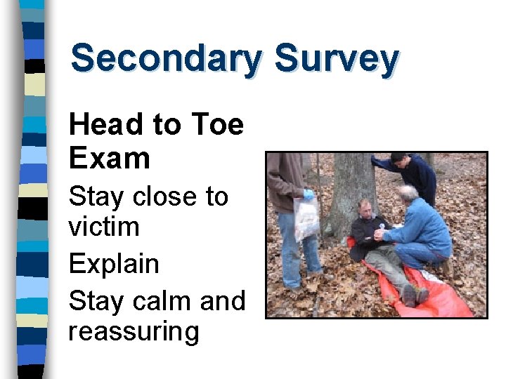 Secondary Survey Head to Toe Exam Stay close to victim Explain Stay calm and