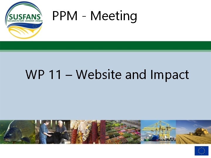 PPM - Meeting WP 11 – Website and Impact 