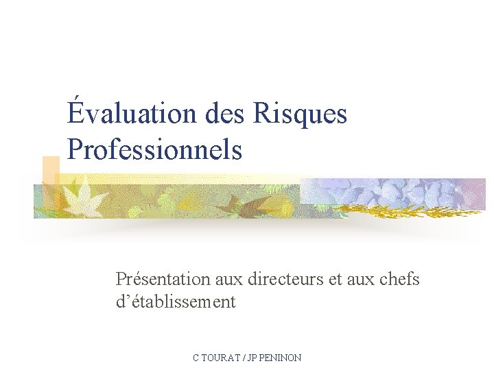 Évaluation des Risques Professionnels Présentation aux directeurs et aux chefs d’établissement C TOURAT /