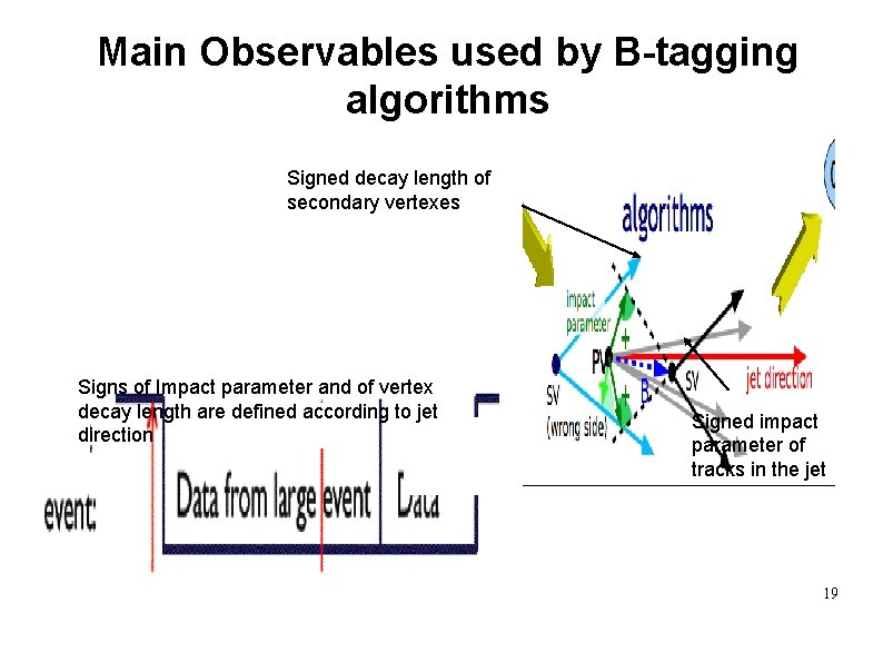 Main Observables used by B-tagging algorithms Signed decay length of secondary vertexes Signs of