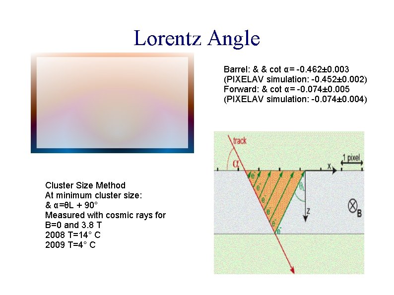 Lorentz Angle Barrel: & & cot α= -0. 462± 0. 003 (PIXELAV simulation: -0.