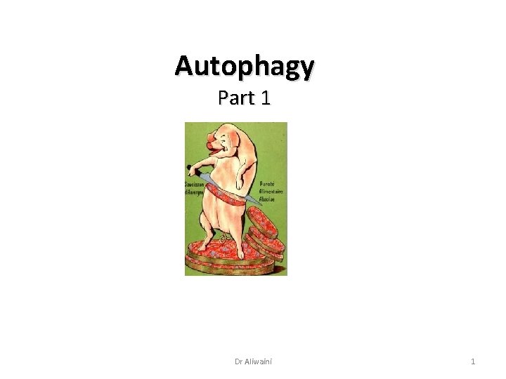 Autophagy Part 1 Dr Aliwaini 1 