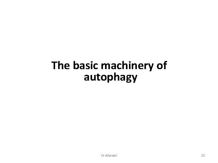 The basic machinery of autophagy Dr Aliwaini 10 