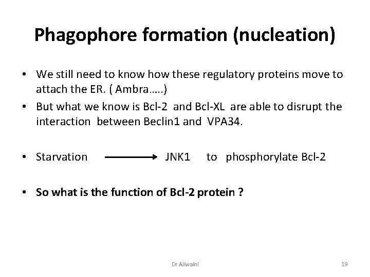 Phagophore formation (nucleation) • We still need to know how these regulatory proteins move