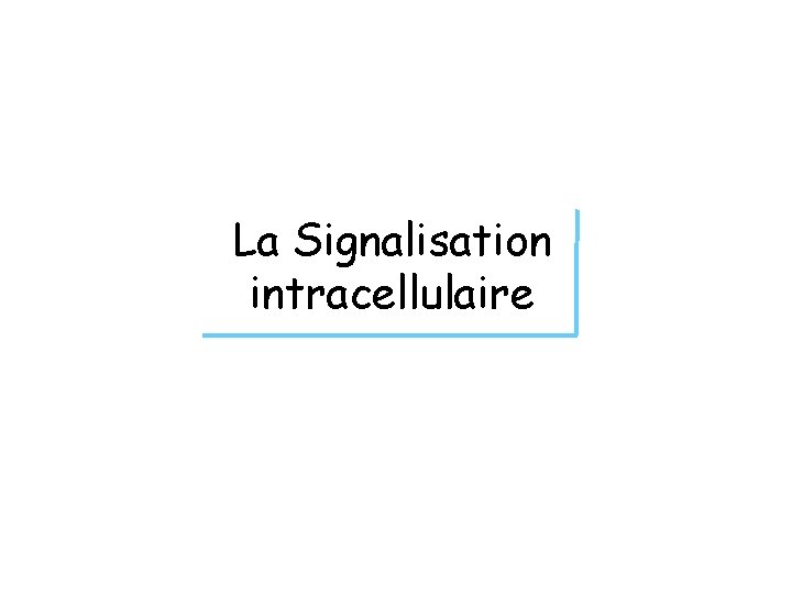 La Signalisation intracellulaire 