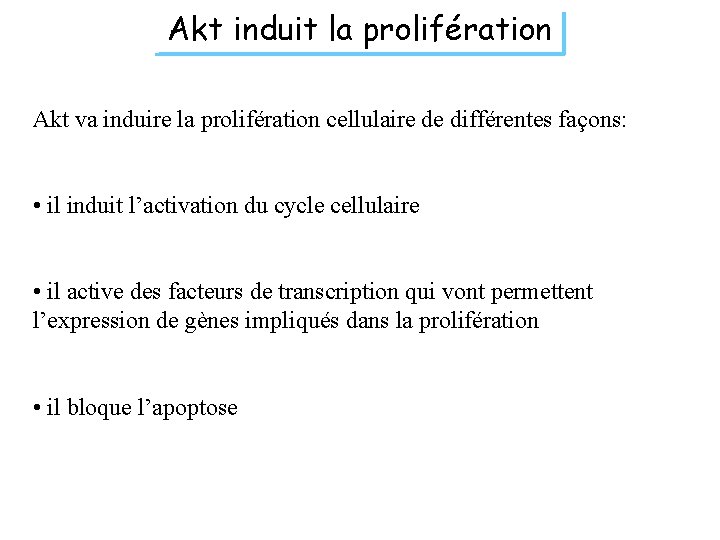 Akt induit la prolifération Akt va induire la prolifération cellulaire de différentes façons: •