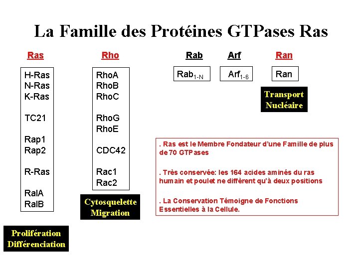 La Famille des Protéines GTPases Ras Rho Rab H-Ras N-Ras K-Ras Rho. A Rho.