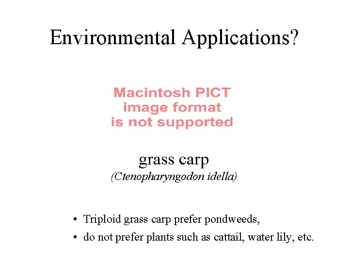 Environmental Applications? grass carp (Ctenopharyngodon idella) • Triploid grass carp prefer pondweeds, • do