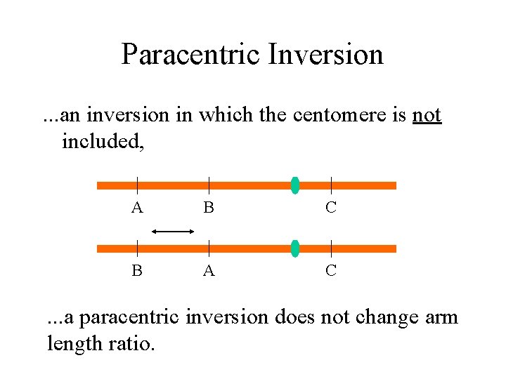 Paracentric Inversion. . . an inversion in which the centomere is not included, A