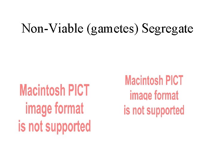 Non-Viable (gametes) Segregate 