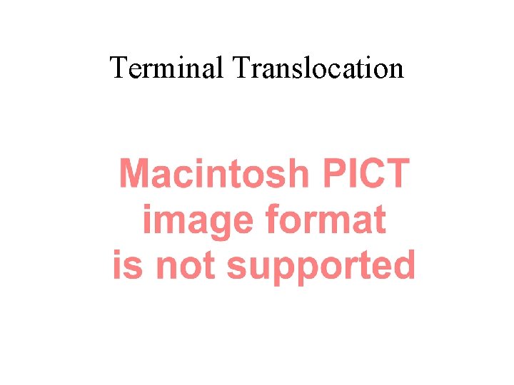 Terminal Translocation 