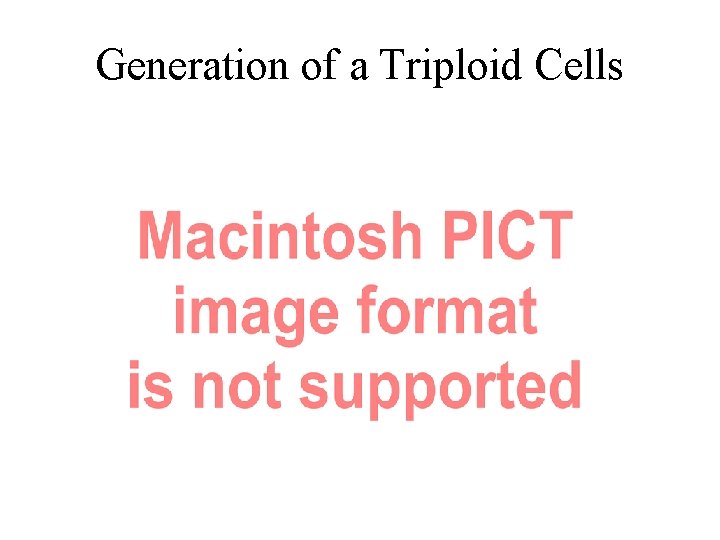 Generation of a Triploid Cells 